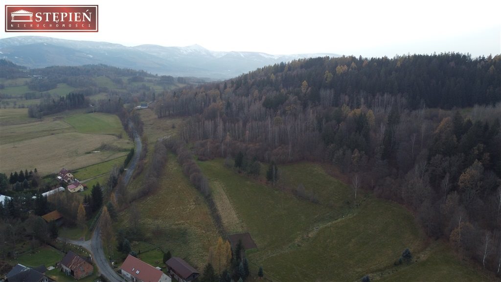 Działka budowlana 7,2 ha, Krogulec