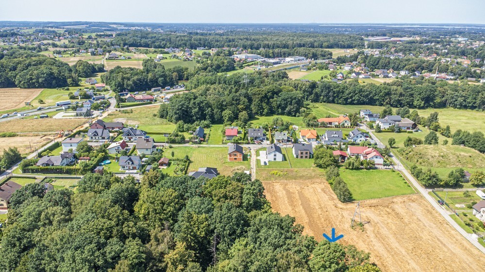 Zdjęcie 8