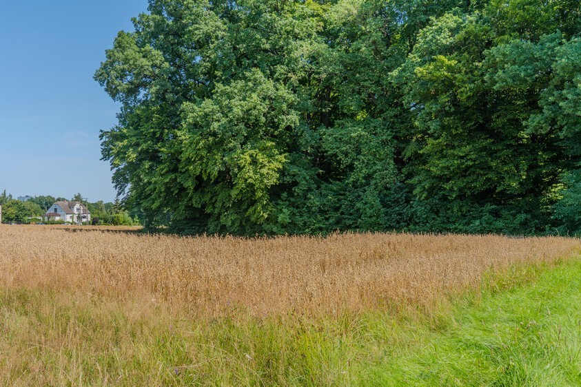 Zdjęcie 10