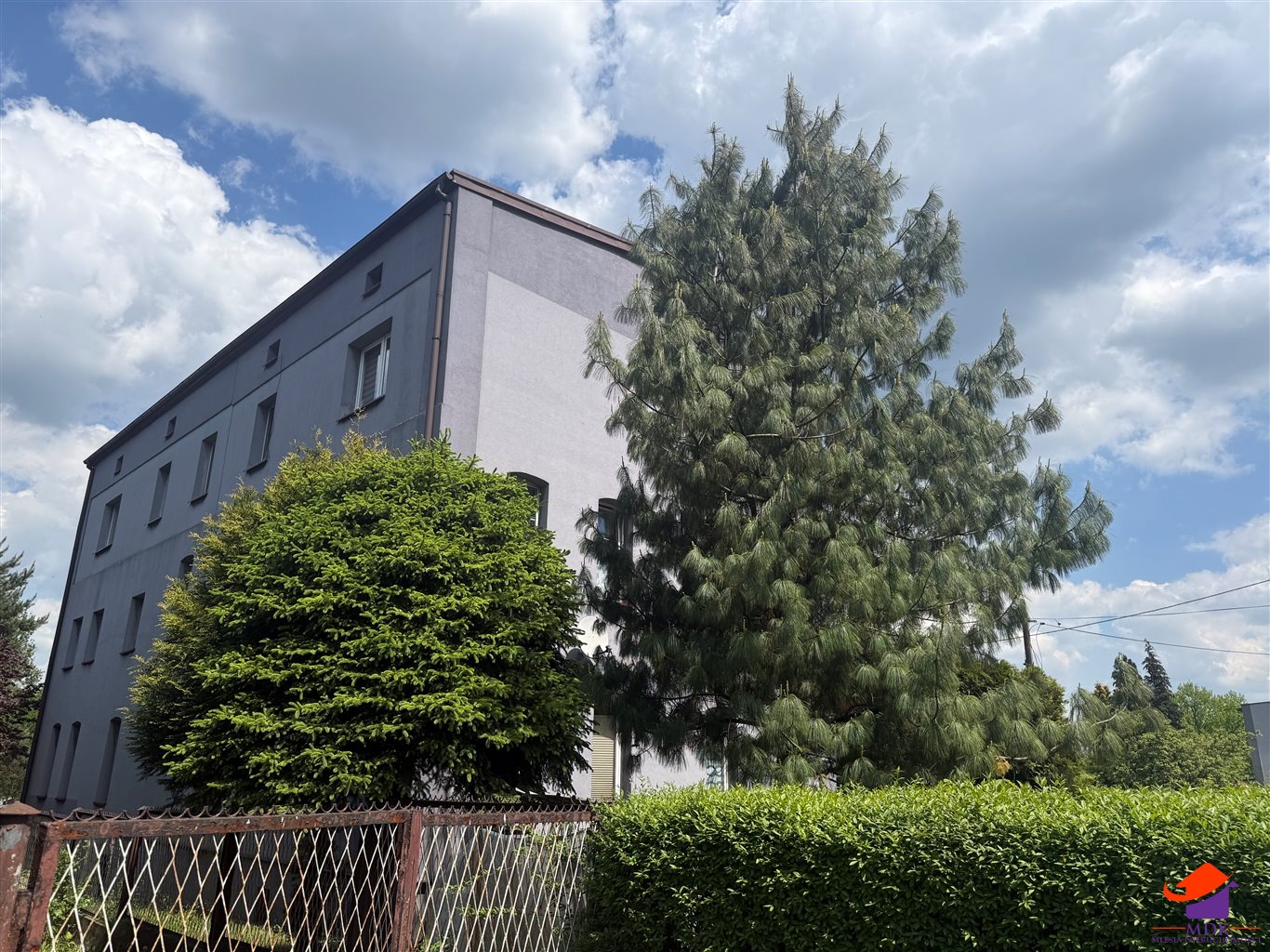 Zdjęcie 5