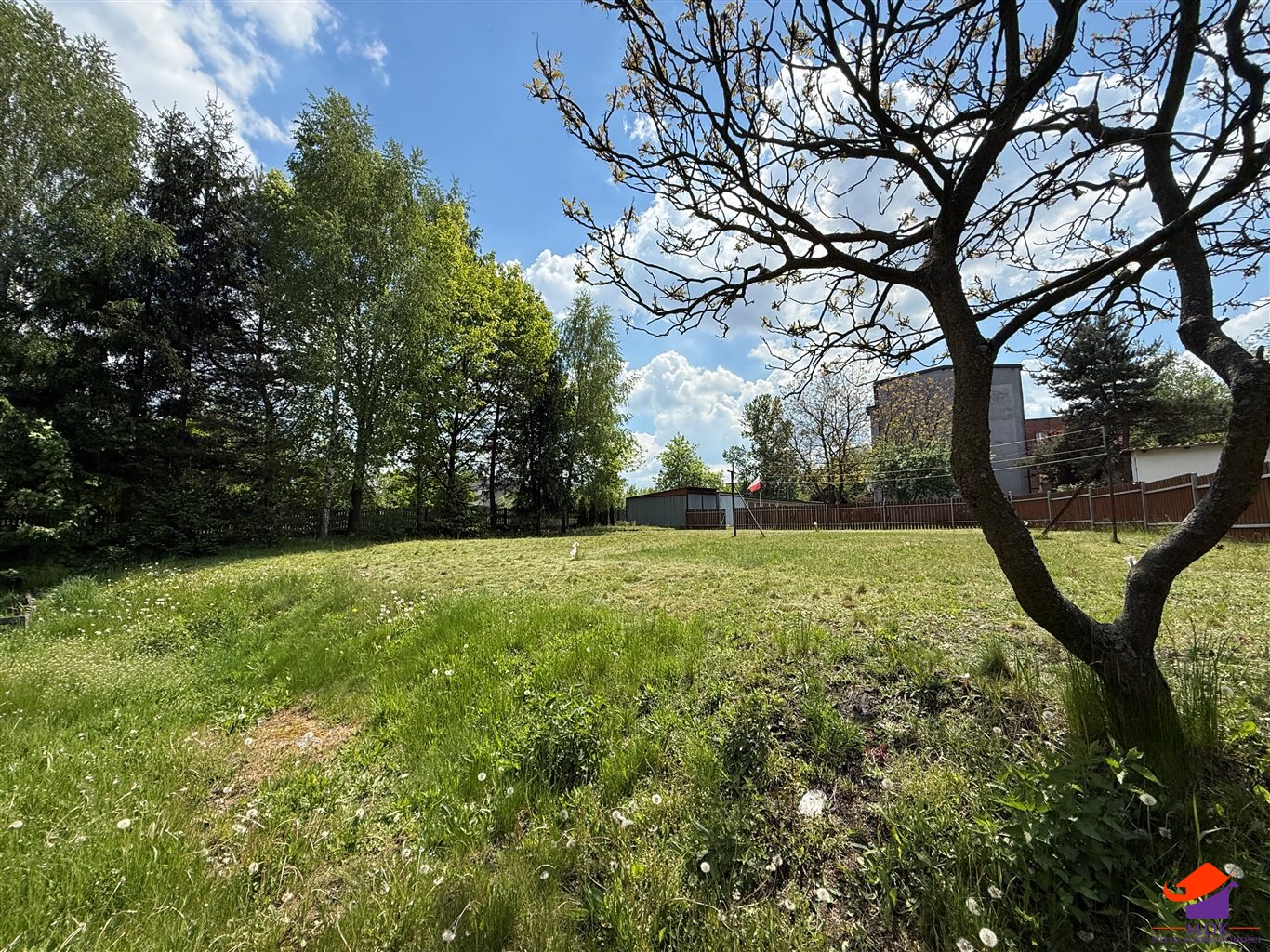 Zdjęcie 6