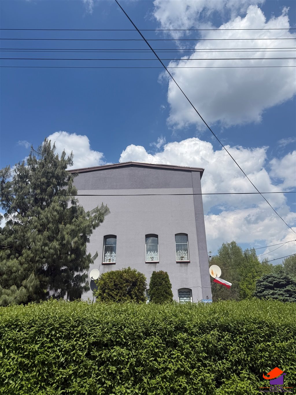 Zdjęcie 11
