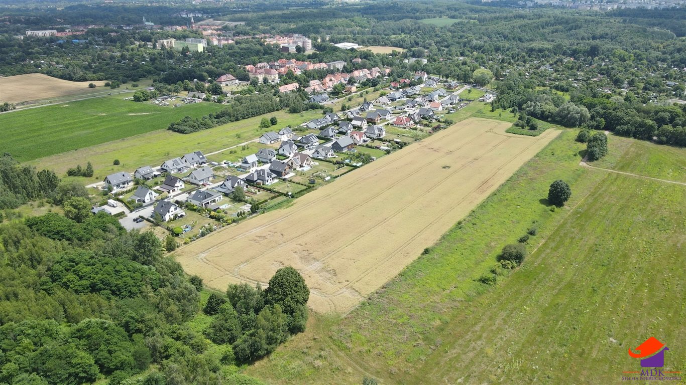 Zdjęcie 8