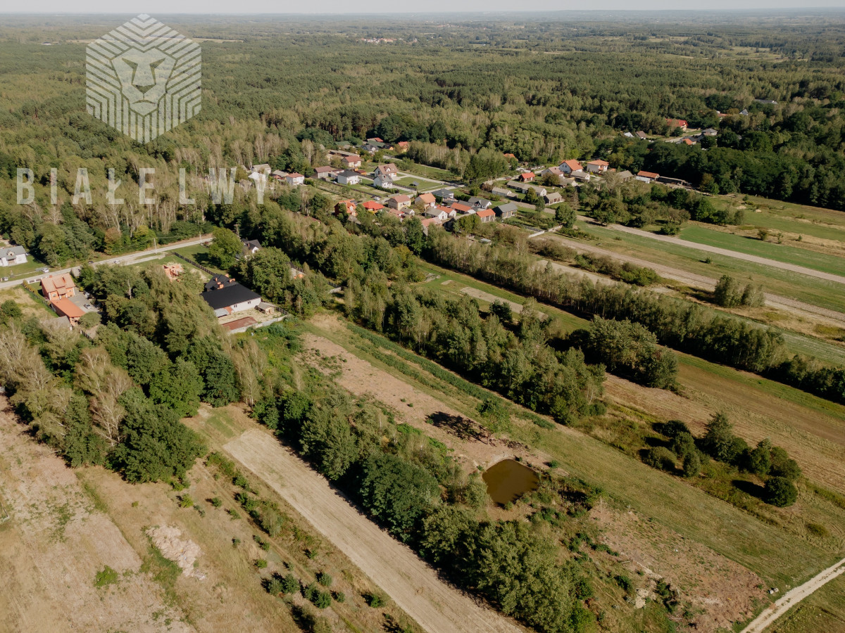 Zdjęcie 10