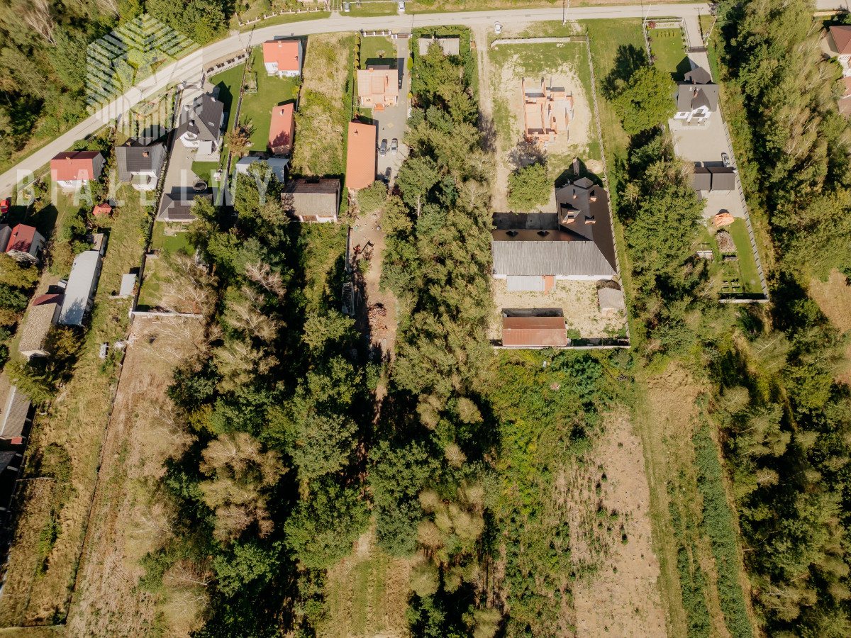 Zdjęcie 14