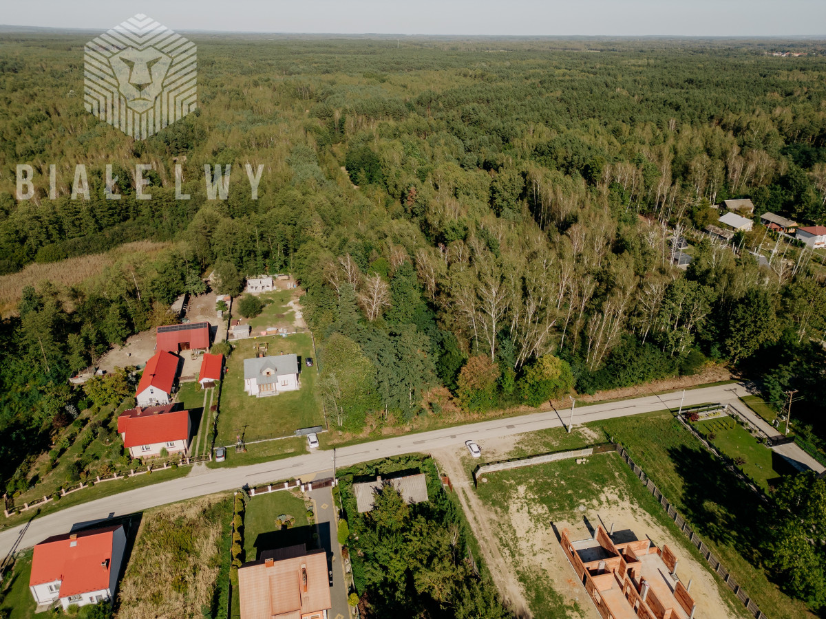 Zdjęcie 15