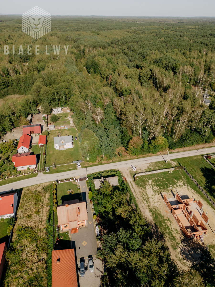 Zdjęcie 16