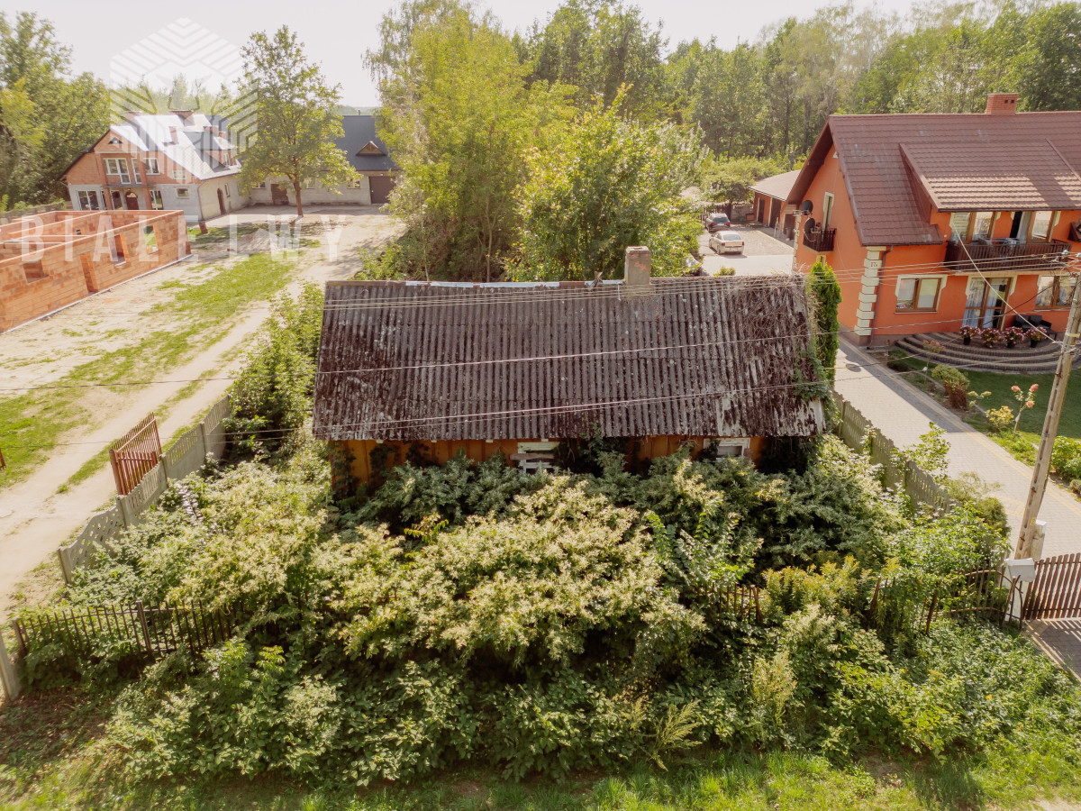 Zdjęcie 18