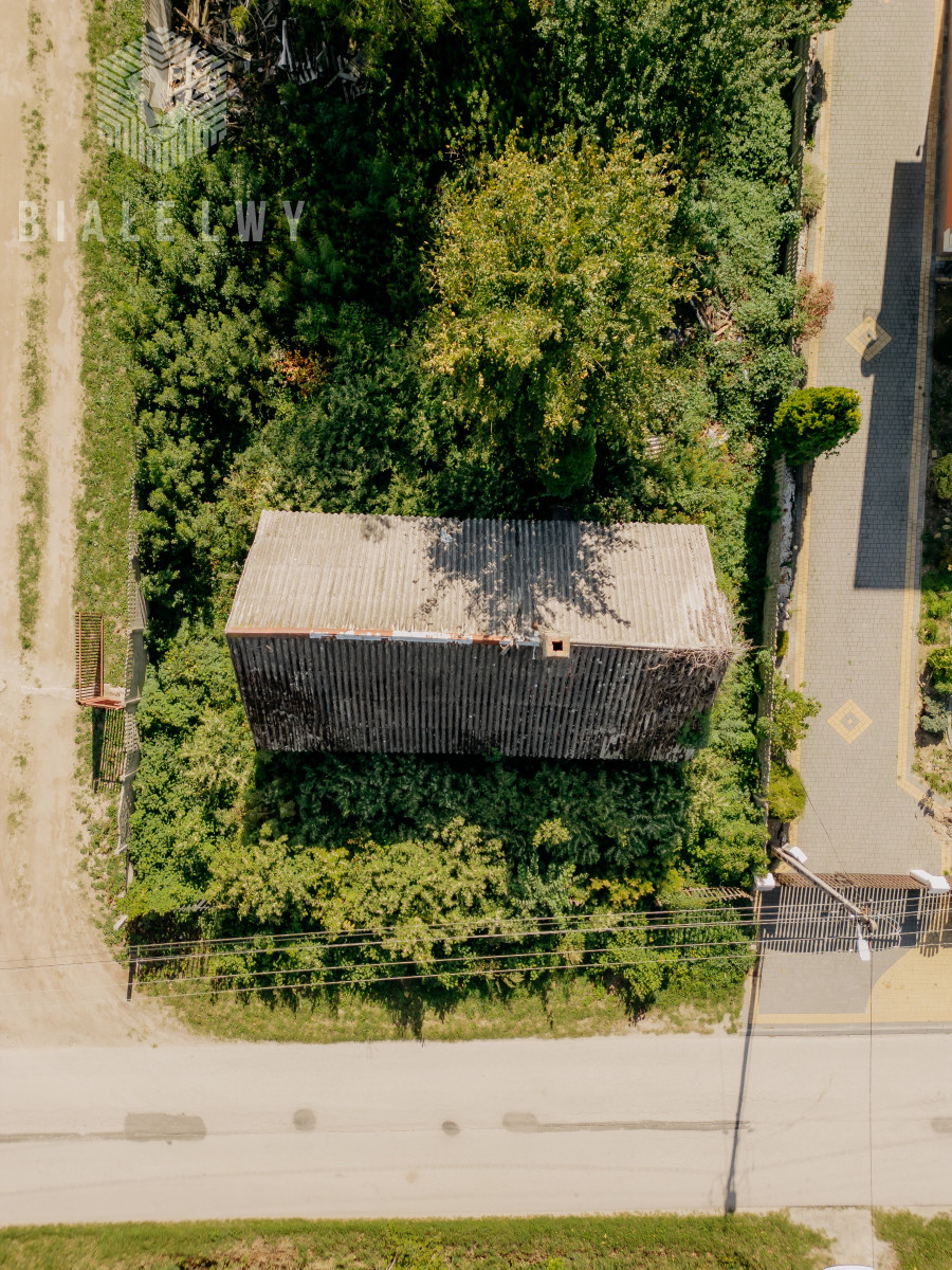 Zdjęcie 19
