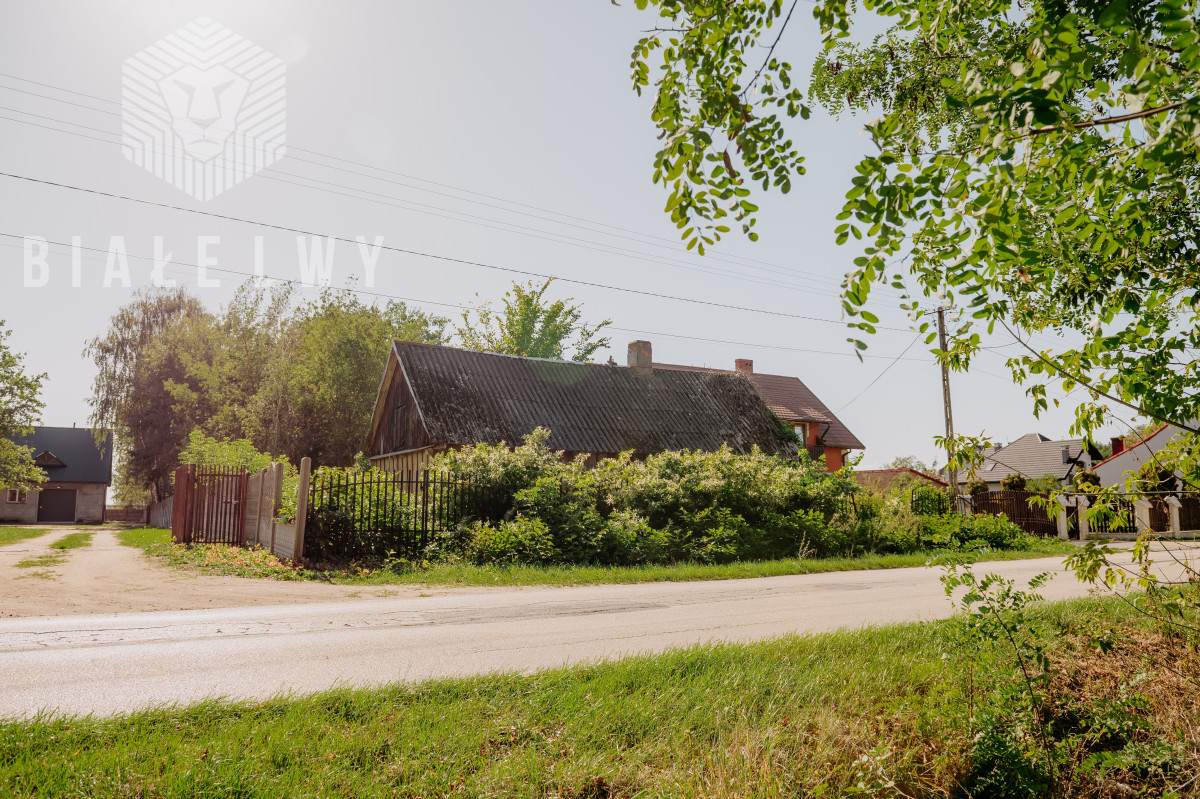 Zdjęcie 23