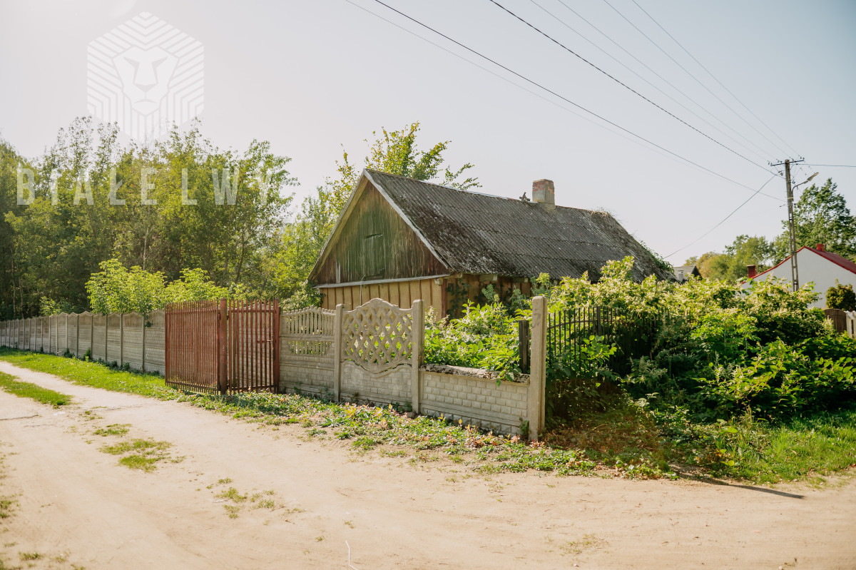 Zdjęcie 30