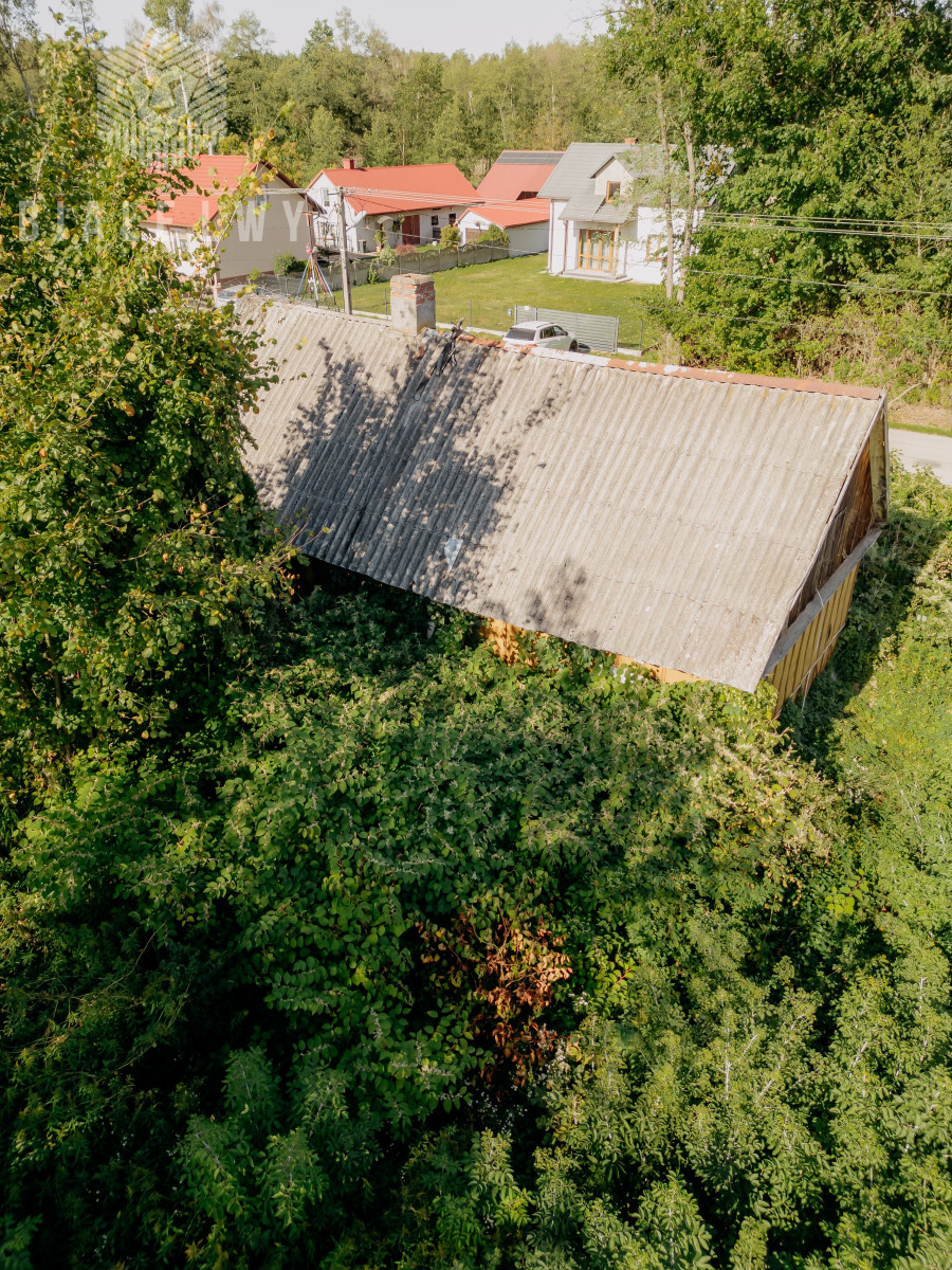 Zdjęcie 31