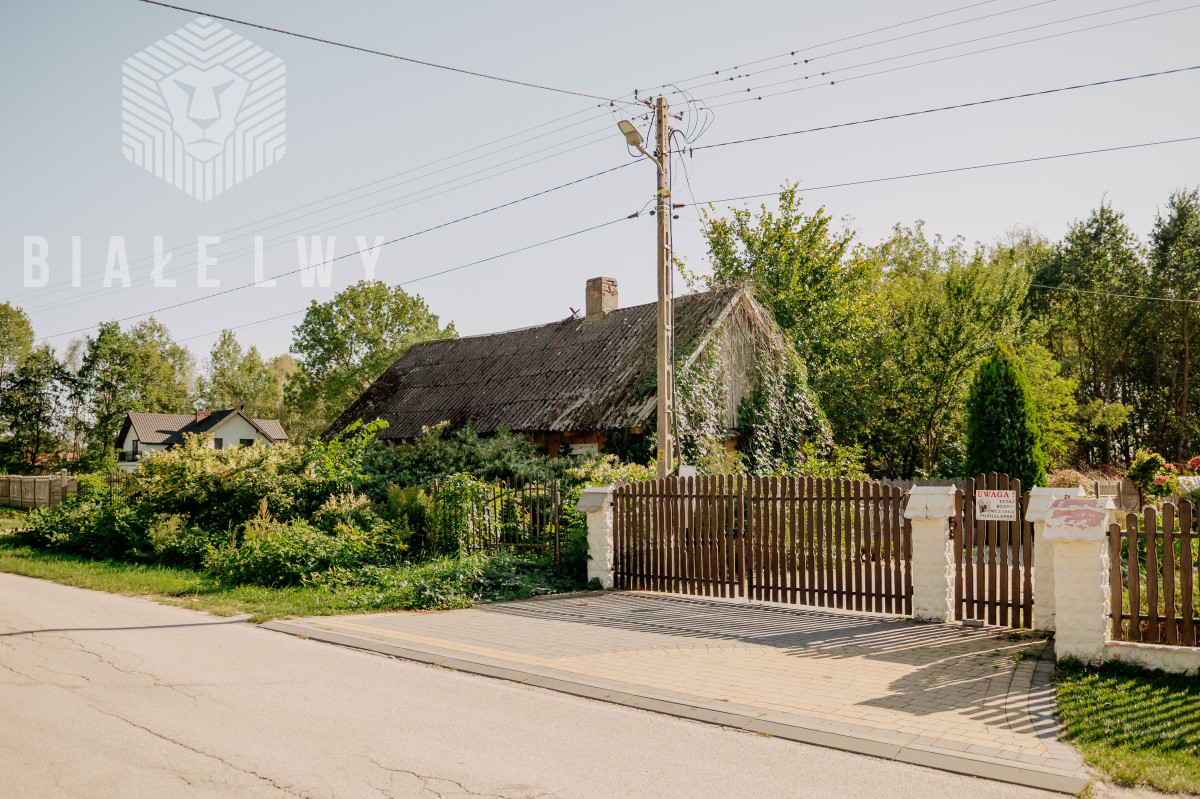 Zdjęcie 35