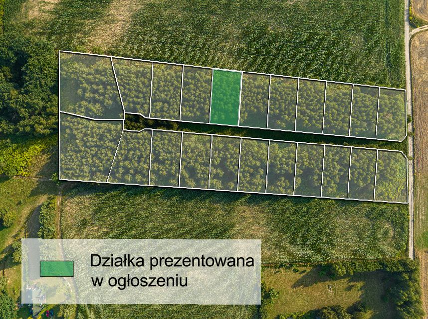 Zdjęcie 8