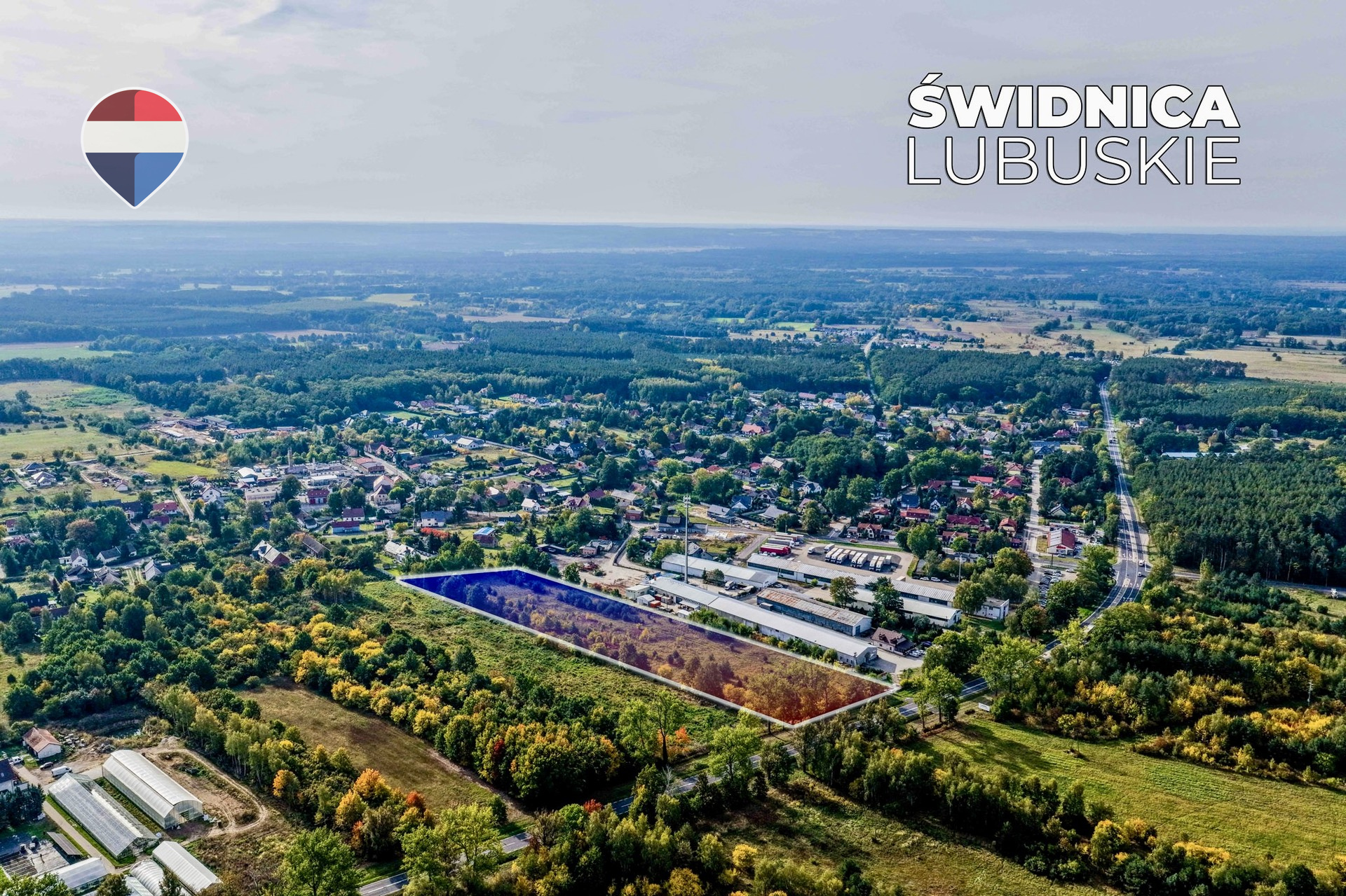 Zdjęcie 12
