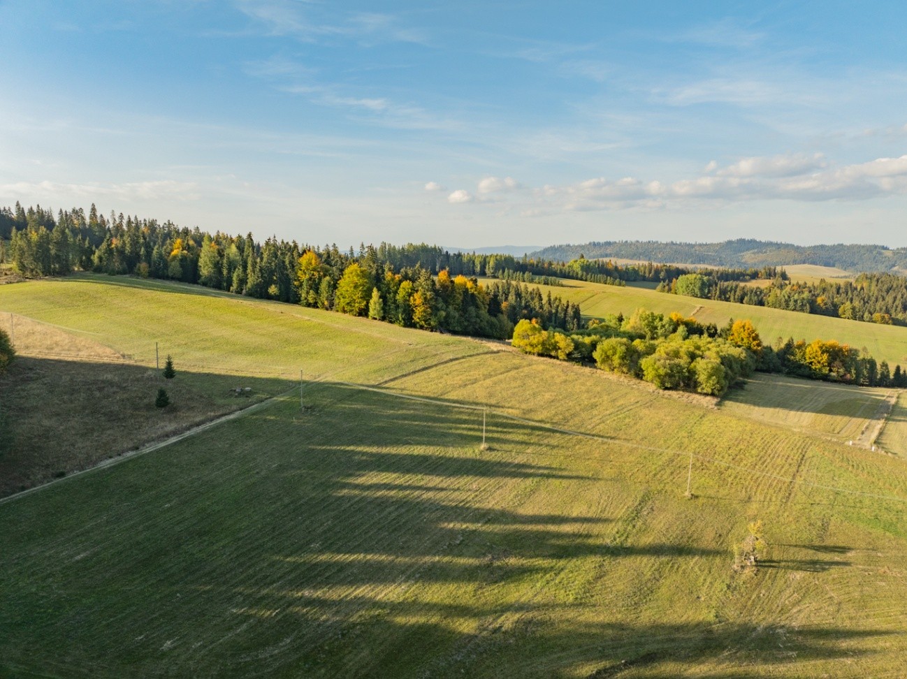 Zdjęcie 14