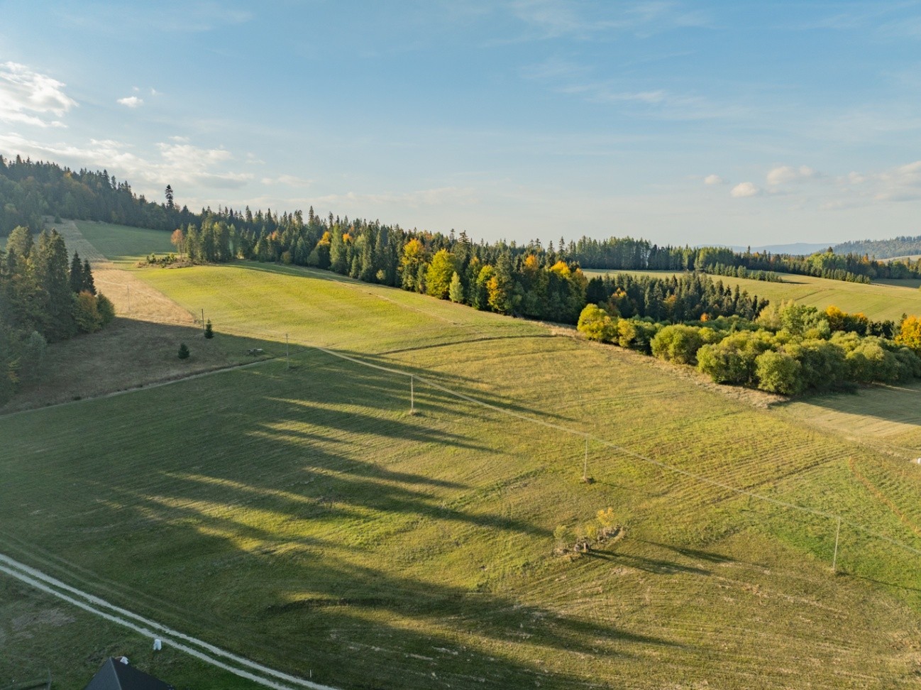 Zdjęcie 15