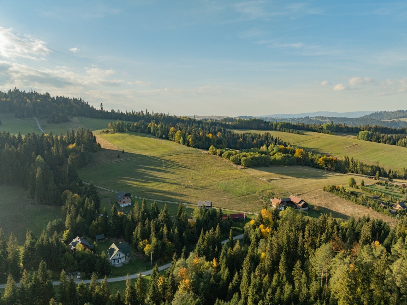 Zdjęcie 16