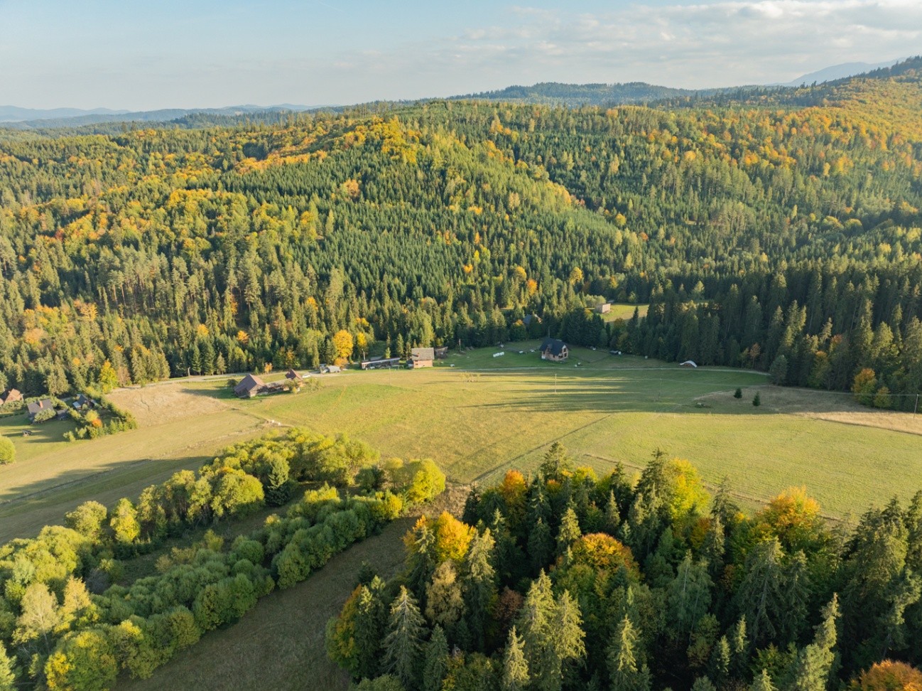 Zdjęcie 19