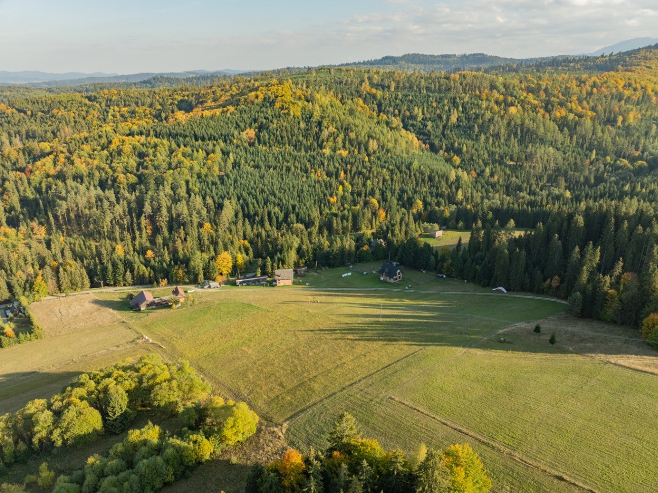 Zdjęcie 20