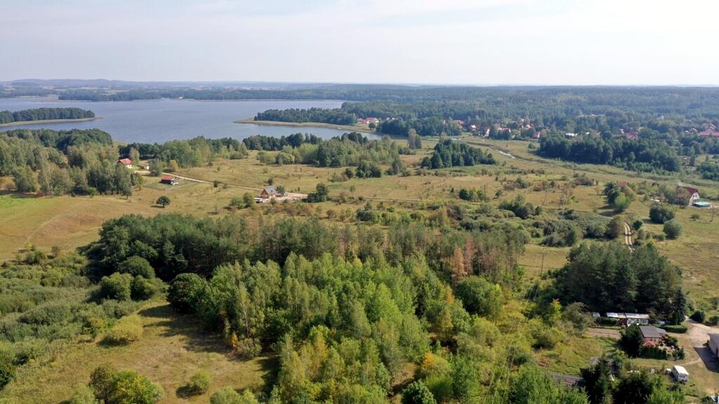 Zdjęcie 11