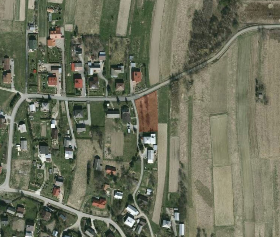 Zdjęcie 8