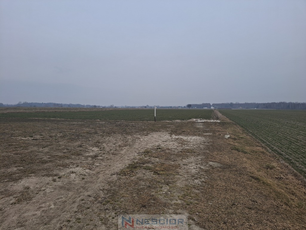Działka budowlana 1 000 m², Boroszków