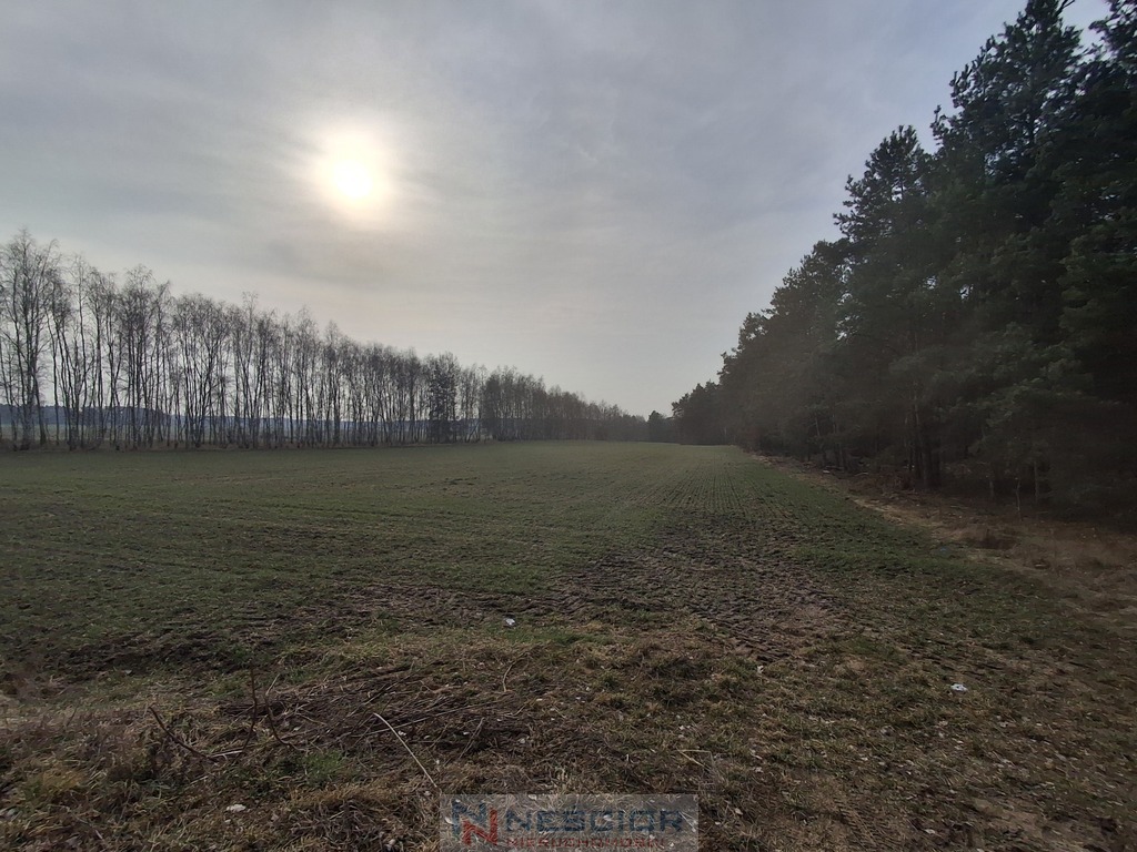 Działka budowlana 990 m², Boroszków