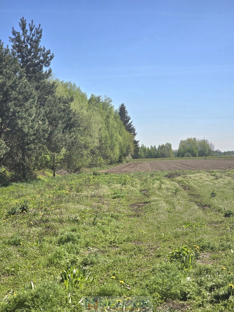 Działka budowlana 1 708 m², Klimonty