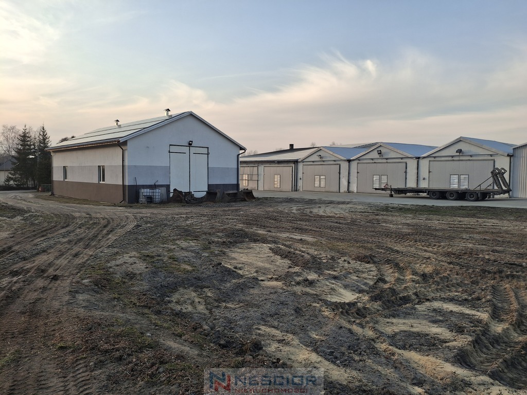 Działka budowlana 1,81 ha, Cisie-Zagrudzie
