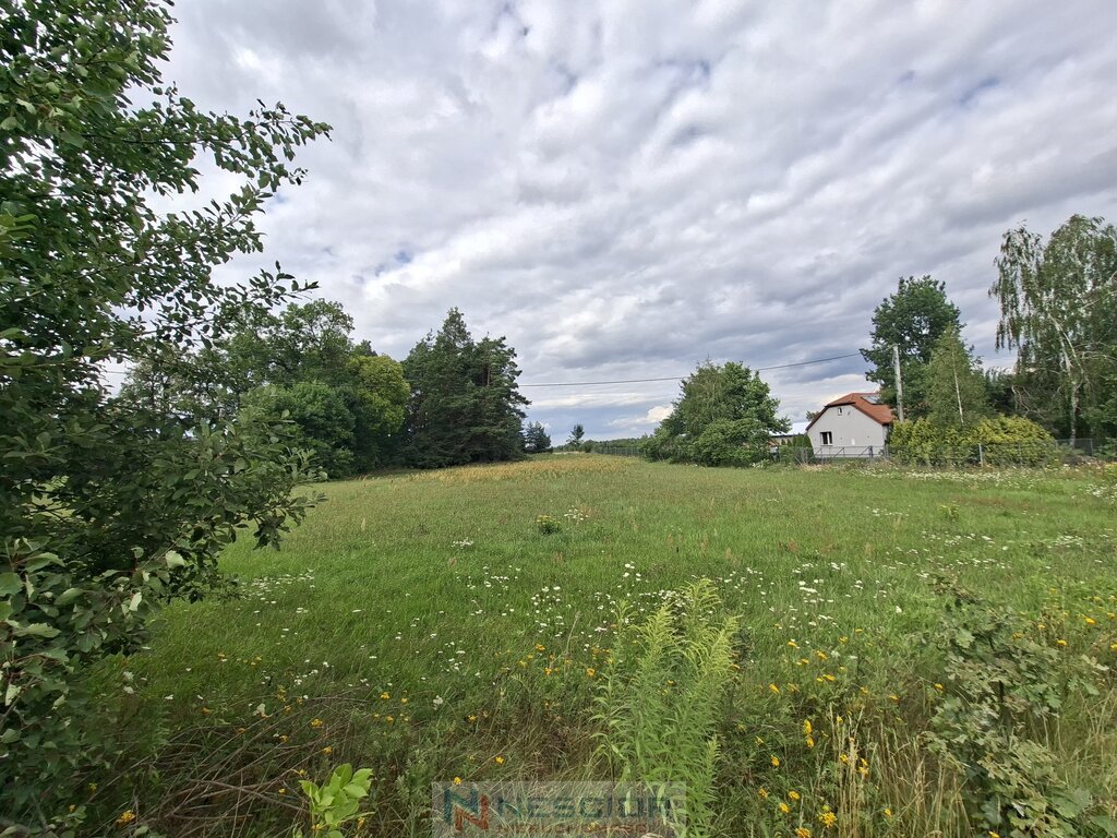 Działka budowlana 3 864 m², Polaki