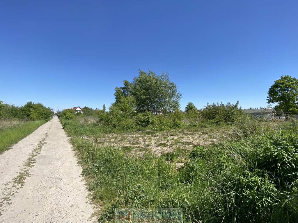 Zdjęcie 5