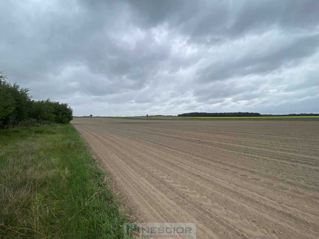 Działka budowlana 691 m², Borki Siedleckie
