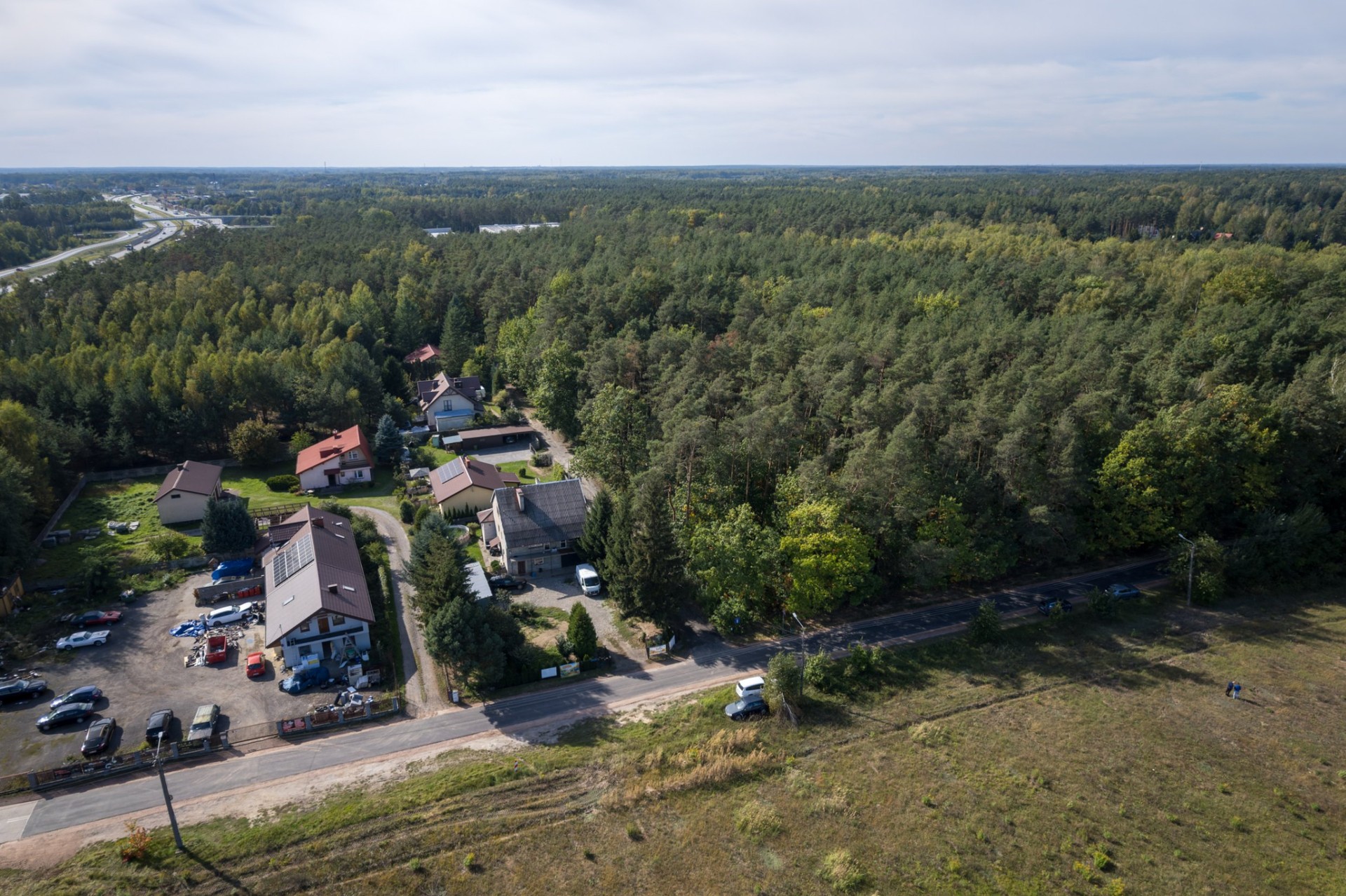 Zdjęcie 12