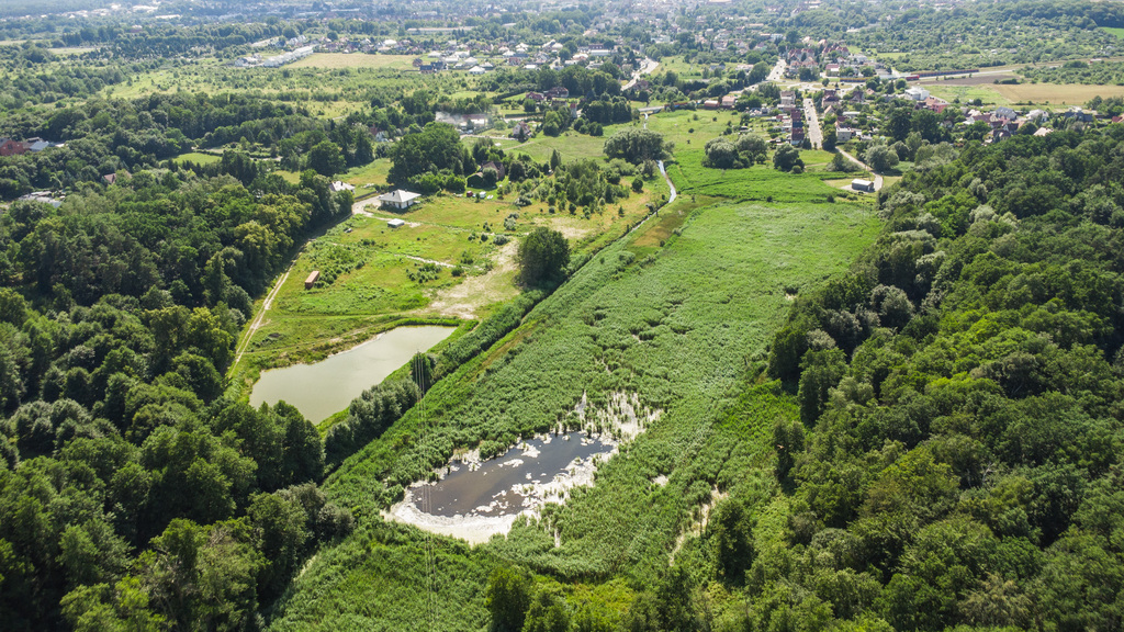 Prawie 7 ha w Żarach za 7.99 zł/m²