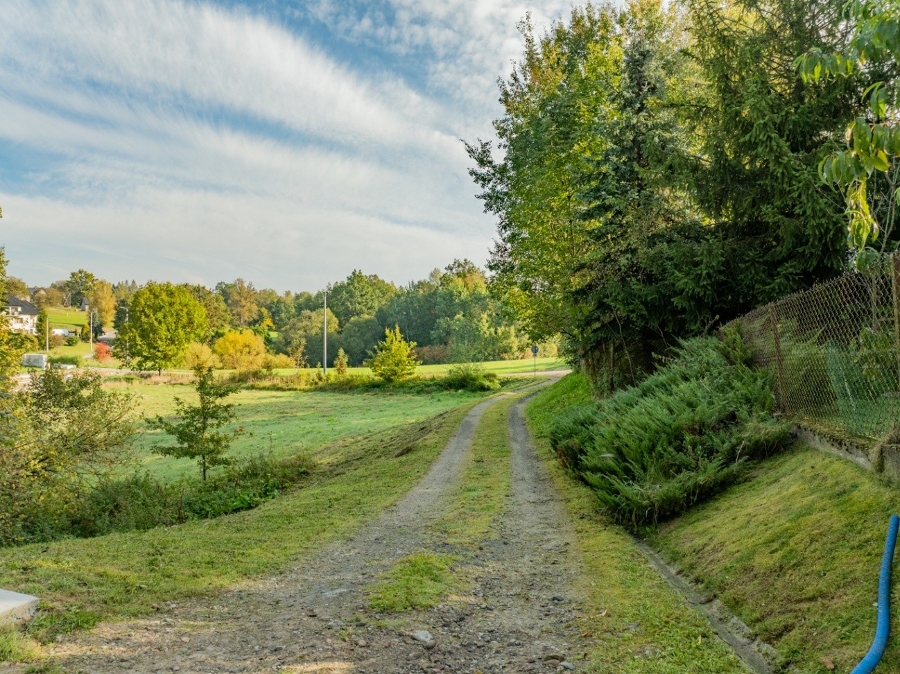 Zdjęcie 12