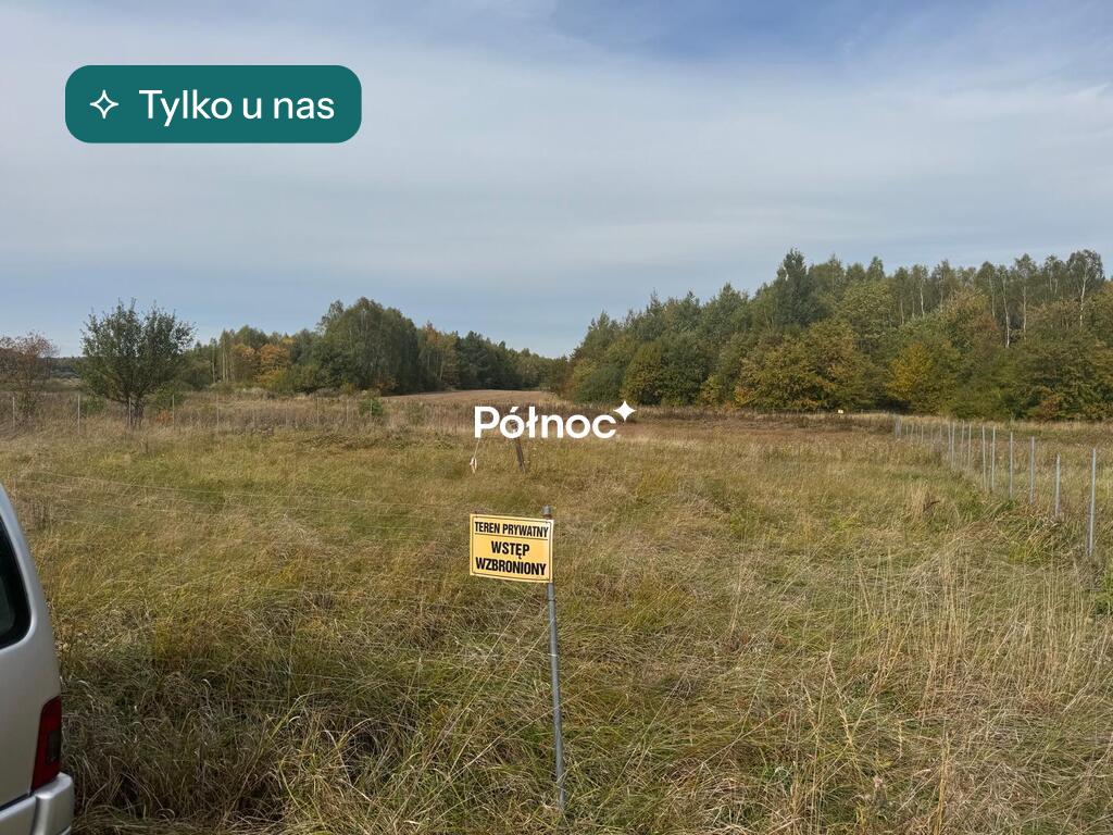 🌿 Skronina, gm. Białaczów – działka ze strumykiem. Piękno natury.