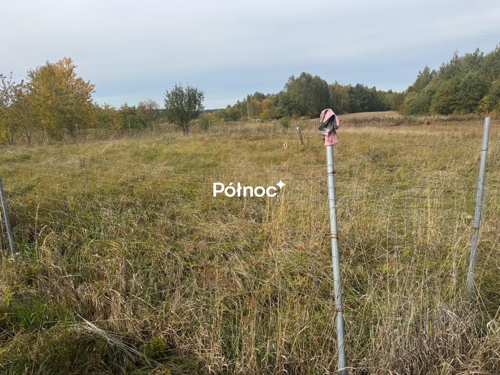 Zdjęcie 2