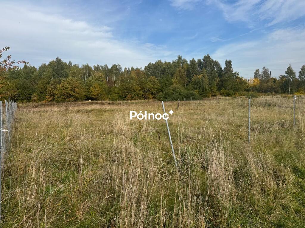 Zdjęcie 3