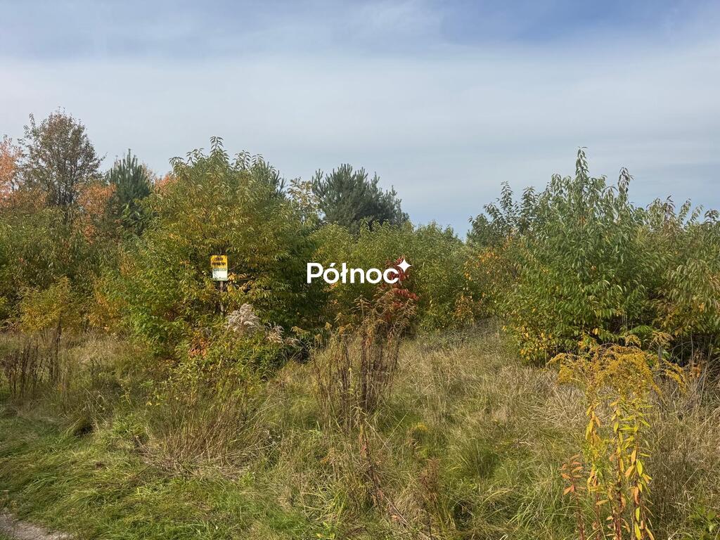 Zdjęcie 4
