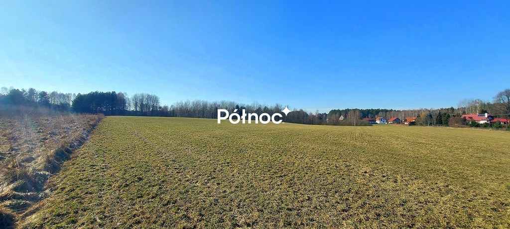 Zdjęcie 3
