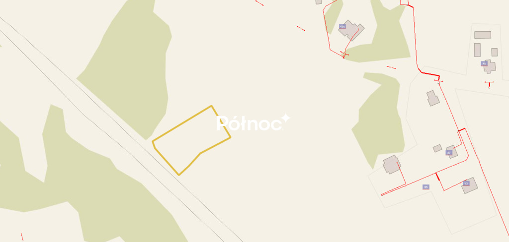 Zdjęcie 13