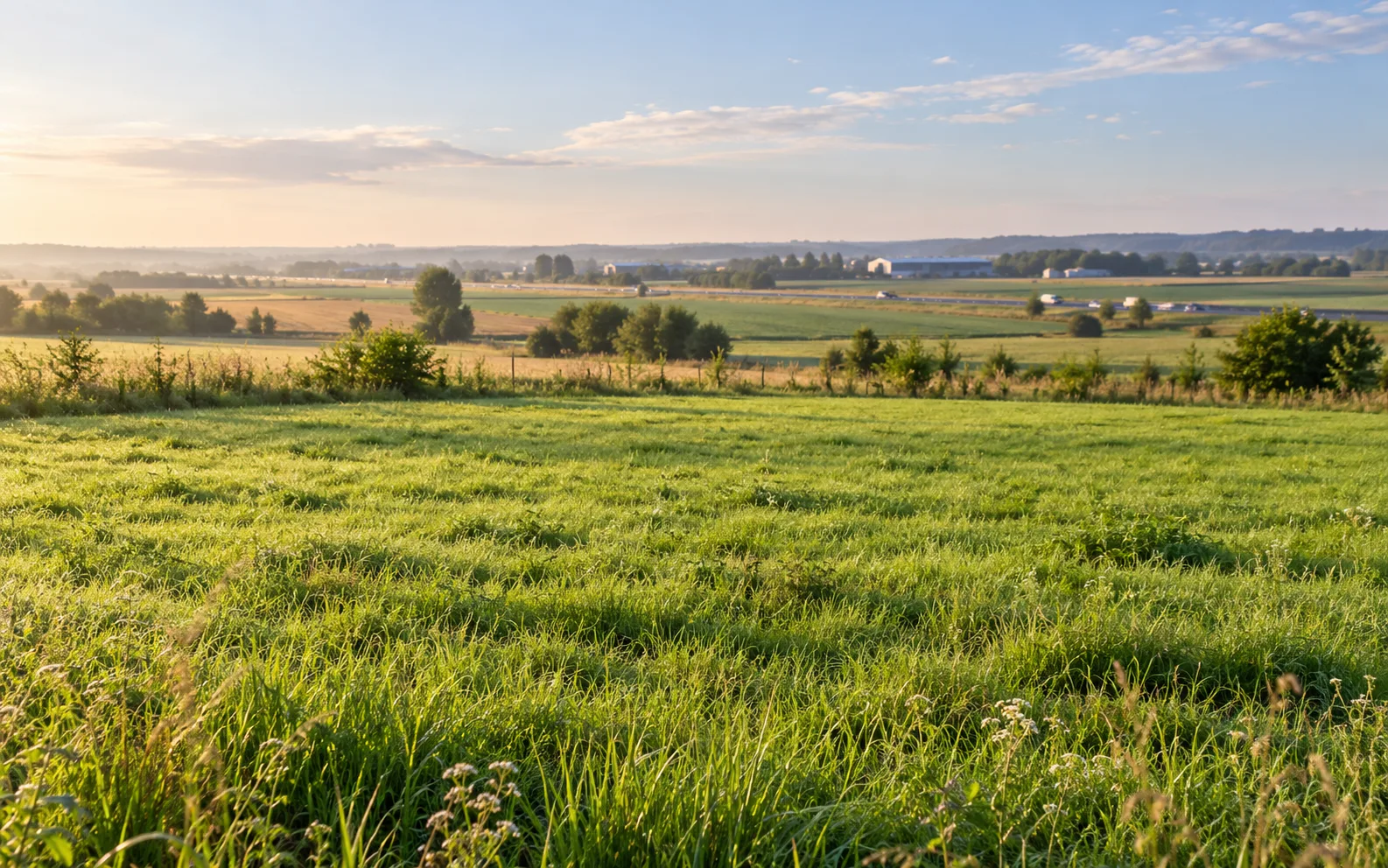 Działka a hałas, zapach i uciążliwe sąsiedztwo: jak sprawdzić