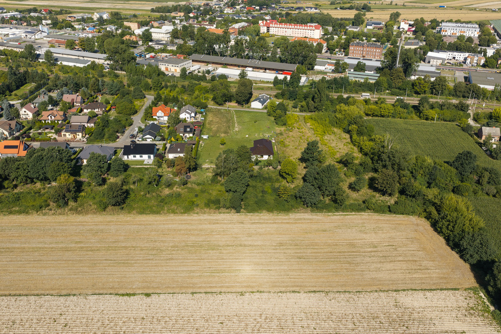Zdjęcie 7