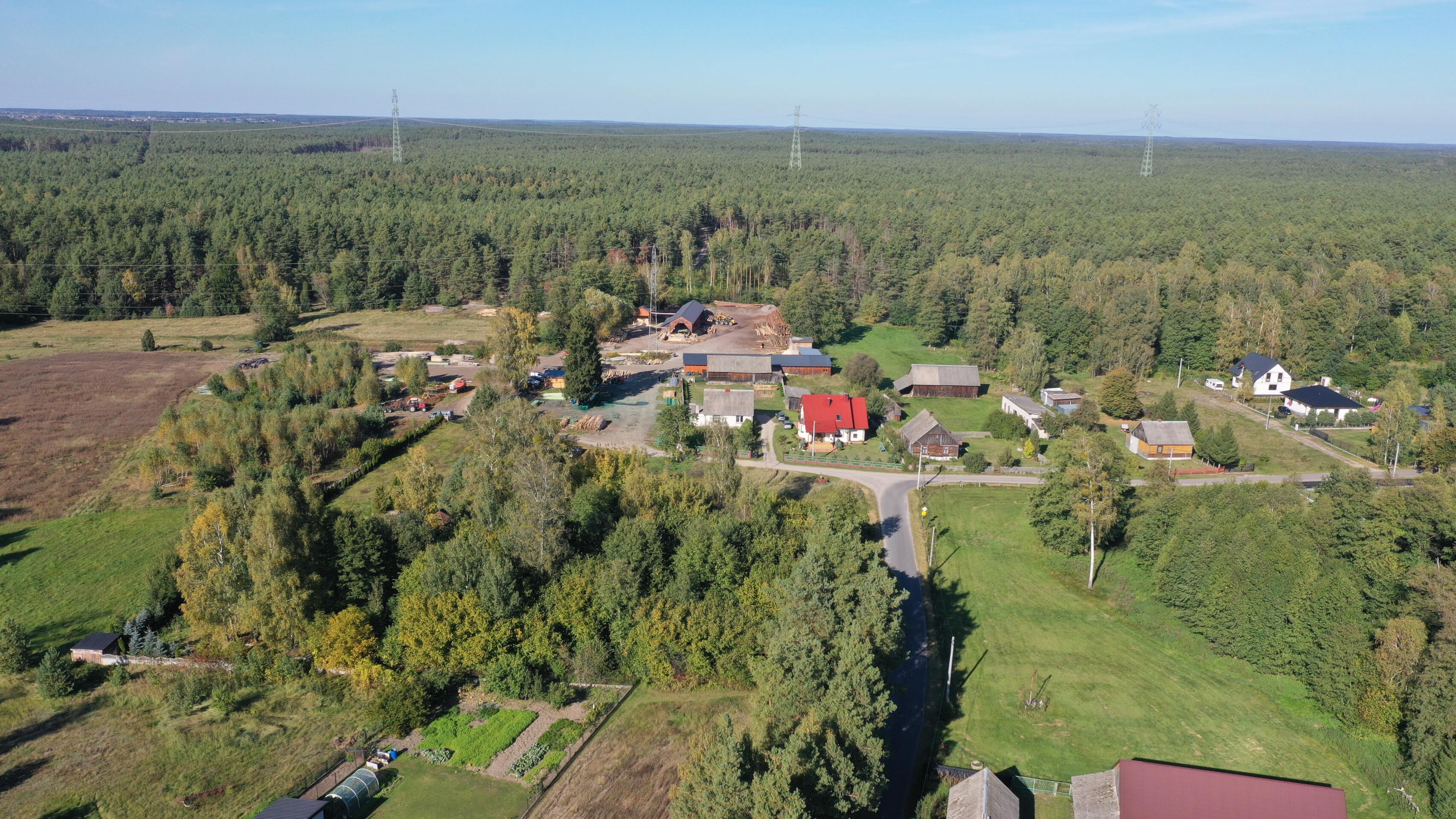 Zdjęcie 10