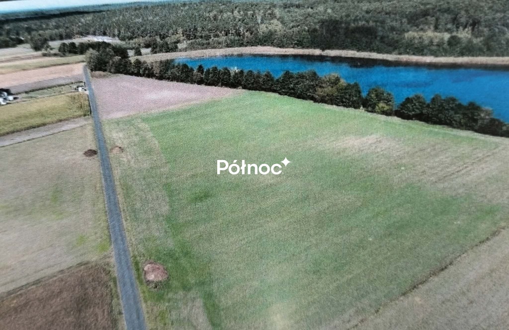 Zdjęcie 3