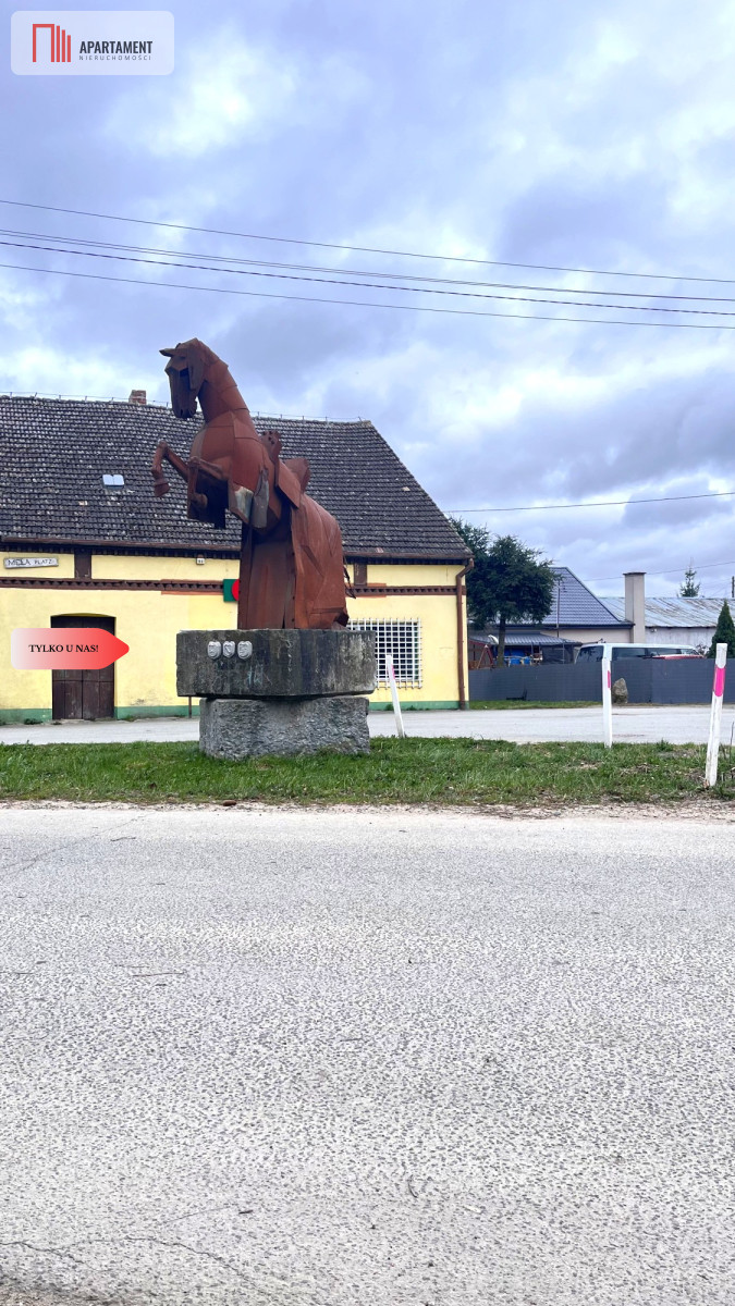 Zdjęcie 18
