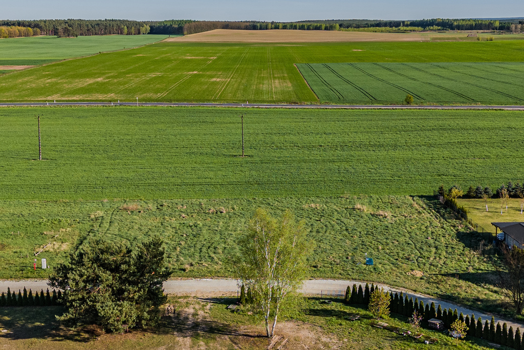 Zdjęcie 15