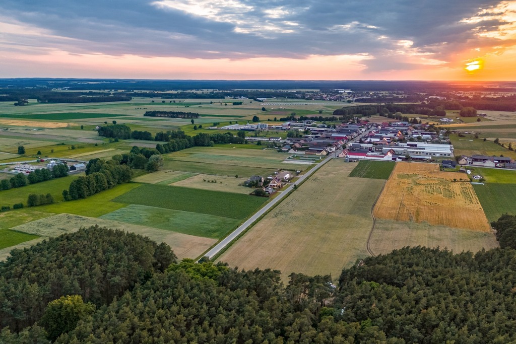 Zdjęcie 13