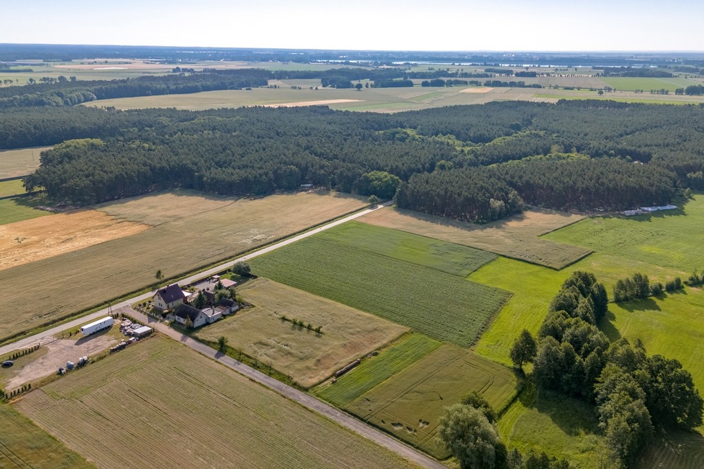 Zdjęcie 14